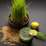 Wheatgrass in dish with lemons and wheatgrass juice